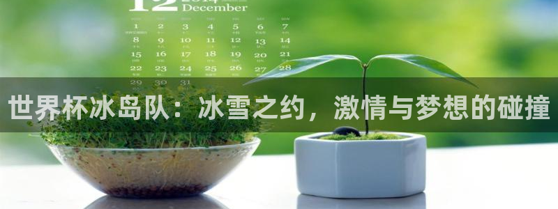 2026世界杯赛程表完整版:世界杯冰岛队:冰雪之约,激情与梦想的碰撞