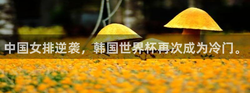 女足世界杯赛程:中国女排逆袭,韩国世界杯再次成为冷门。