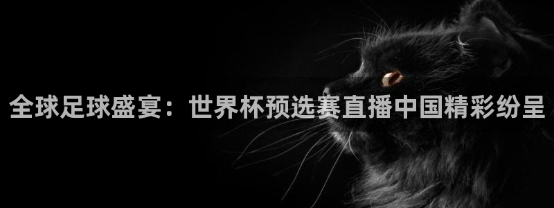 世界杯女足直播:全球足球盛宴:世界杯预选赛直播中国精彩纷呈