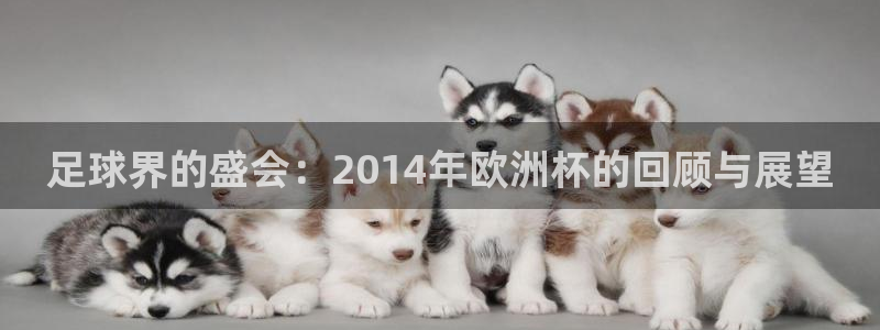 世界杯直播免费观看:足球界的盛会:2014年欧洲杯的回顾与展望