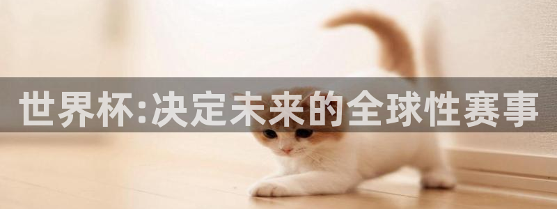 2026年足球世界杯赛程时间表:世界杯:决定未来的全球性赛事
