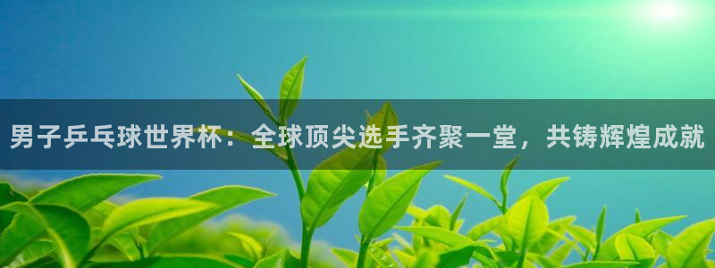 2006年世界杯冠军:男子乒乓球世界杯:全球顶尖选手齐聚一堂,共铸辉煌成就
