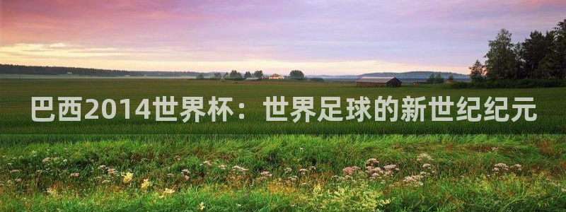 美洲杯直播:巴西2014世界杯:世界足球的新世纪纪元
