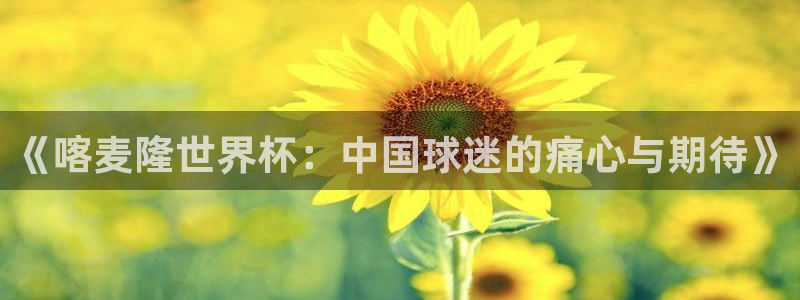 世界杯决赛圈球队:《喀麦隆世界杯:中国球迷的痛心与期待》